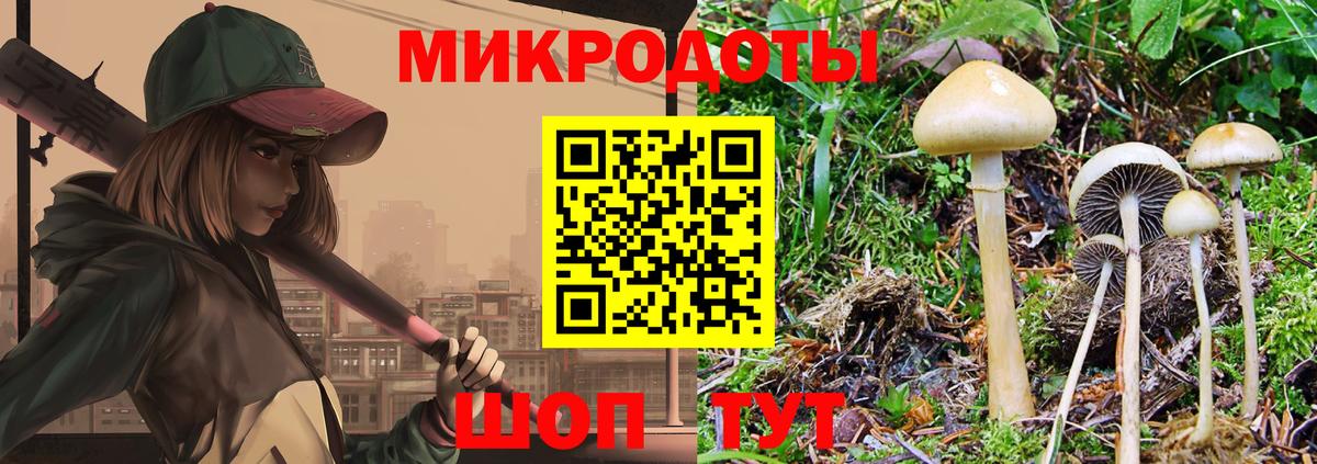 Галлюциногенные грибы Psilocybine cubensis  Вход с VPN  Мурманск  Псилоцибиновые грибы прущие грибы 