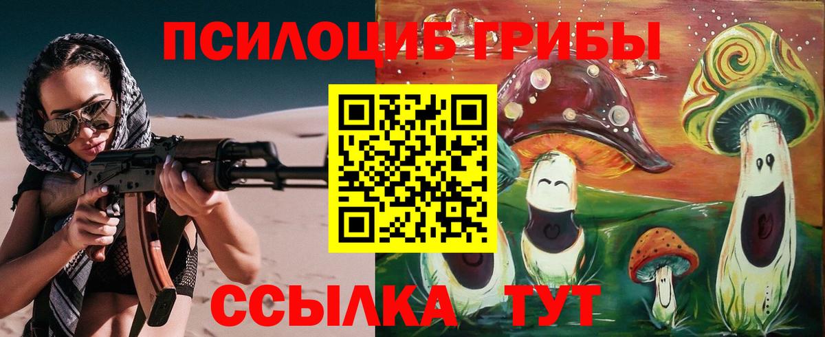 Псилоцибиновые грибы прущие грибы Мурманск